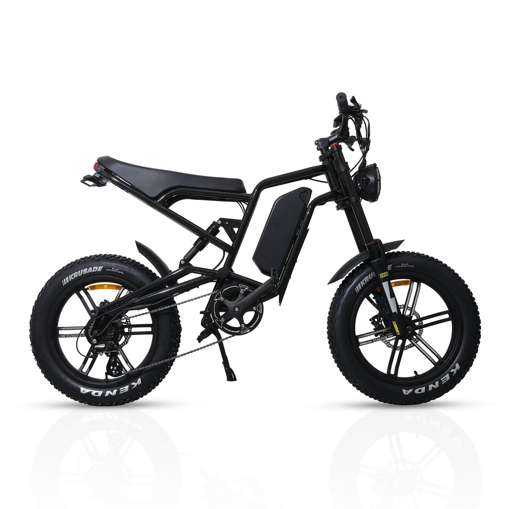Ridefaboard  20 Inch Electric Dirt Bicycle 48v Lithium Battery Long Range Fat Tire Variable Speed Electric Bike