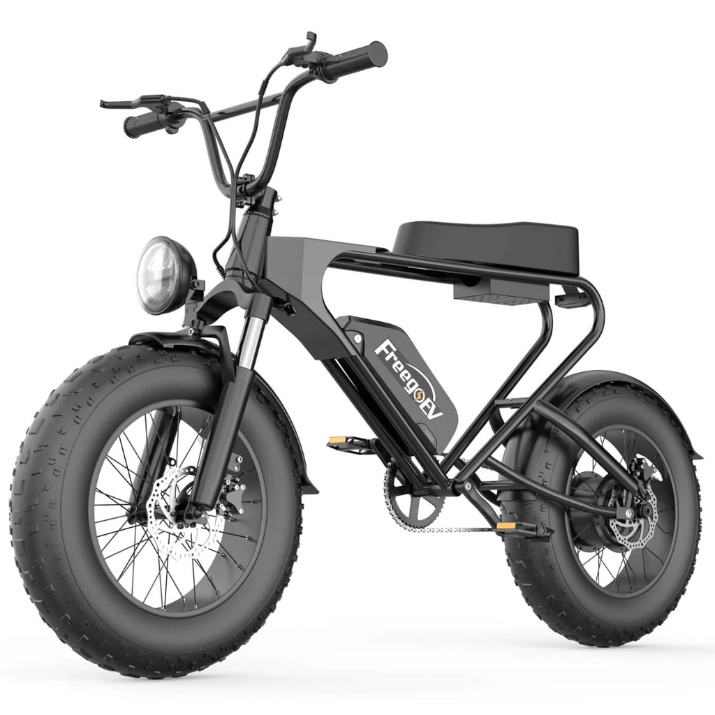 Freego DK200 Off Road Mountain Electric Bike 20 '' Fat pneumatici 1200W Potente motore 20Ah Batteria al litio