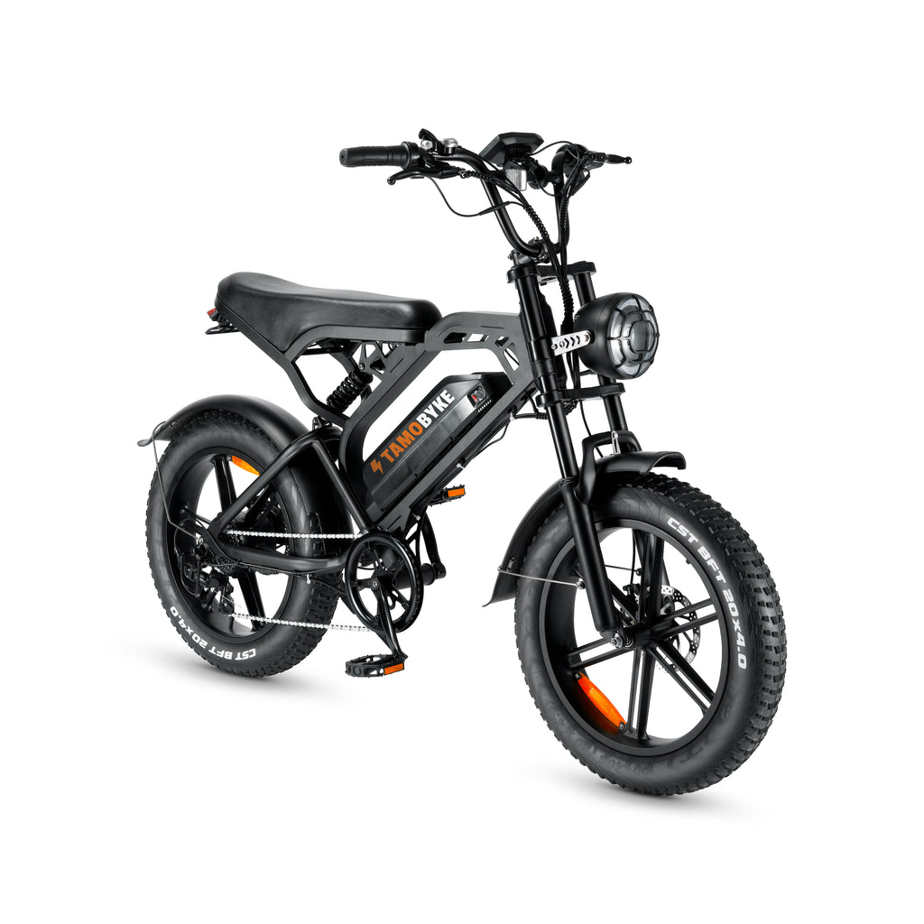 Ridefaboard V20 20 * 4,0 '' Offroad-E-Bike mit fetten Reifen, Motorleistung 750 W, Reichweite 30-60 km
