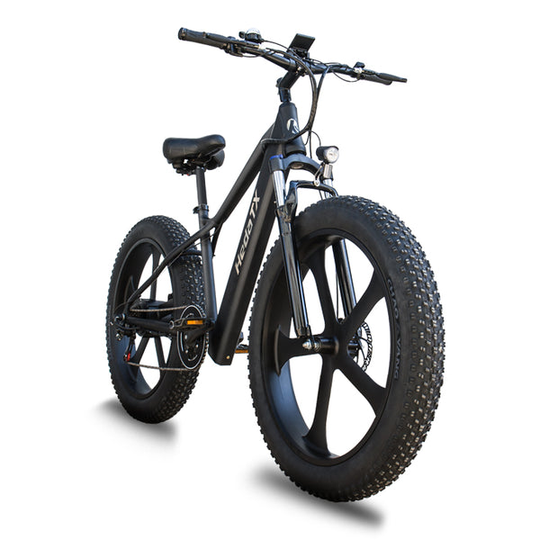HedaTX-TX9 Long Range Fat Tire Electric Bike