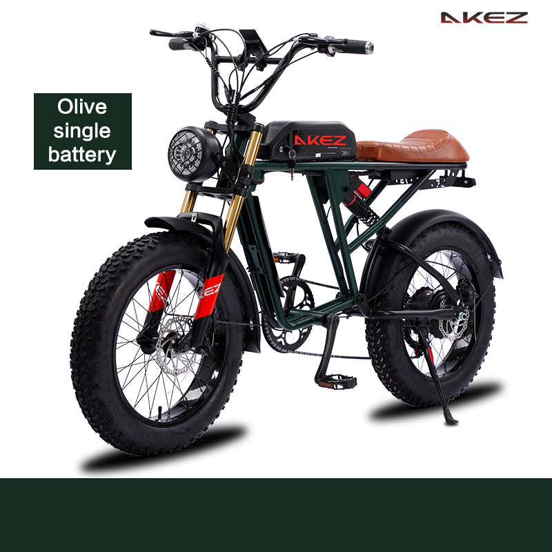 AKEZ, Retro Electric Mountain Bike, 750W 48V Dual Batteries, 20*4.0 Inch Fat Tire, Super73 Style
