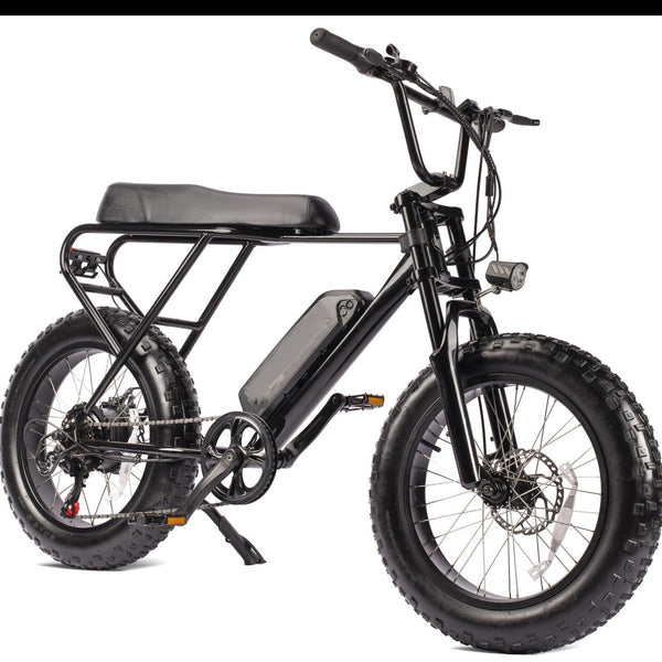 Ridefaboard Mini Swell Electric Bike, 20Inch Fat Tires Off-Road Electric Bike, Black