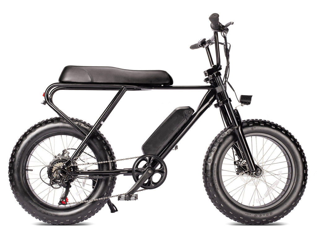Ridefaboard Mini Swell Electric Bike, 20Inch Fat Tires Off-Road Electric Bike, Black