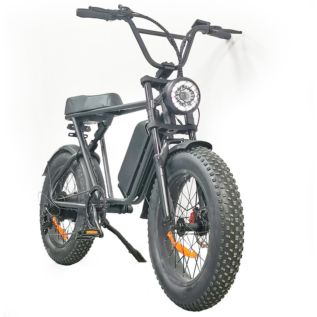 C91 elektrische fiets 48V 1000W motor 20Ah batterij, 20*4,0 inch vetband, 60-70KM bereik
