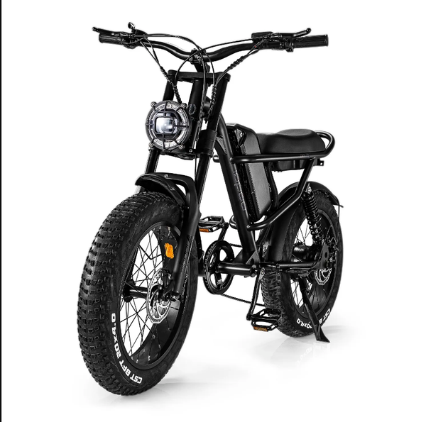 Ridefaboard Z8 Electric Bike, 20' Fat Tires, 48V 15Ah Removebale Battery, 40-60km by Throttle Range,Silver/Black